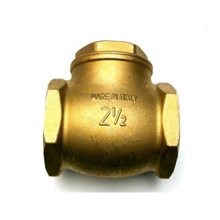 Zawór zwrotny klapowy 2 1/2"